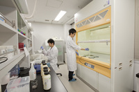 Biochemistry Laboratory / Molecular Biology Laboratory